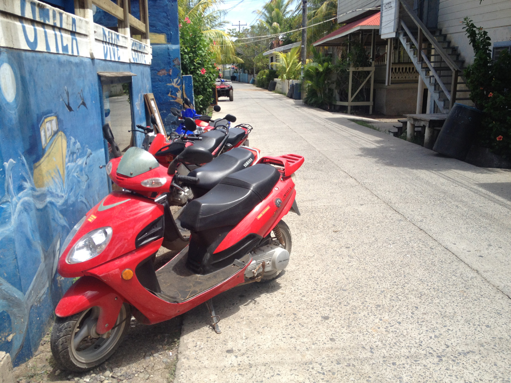 Ambon Image 6