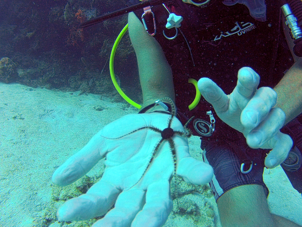 Ambon Image 15
