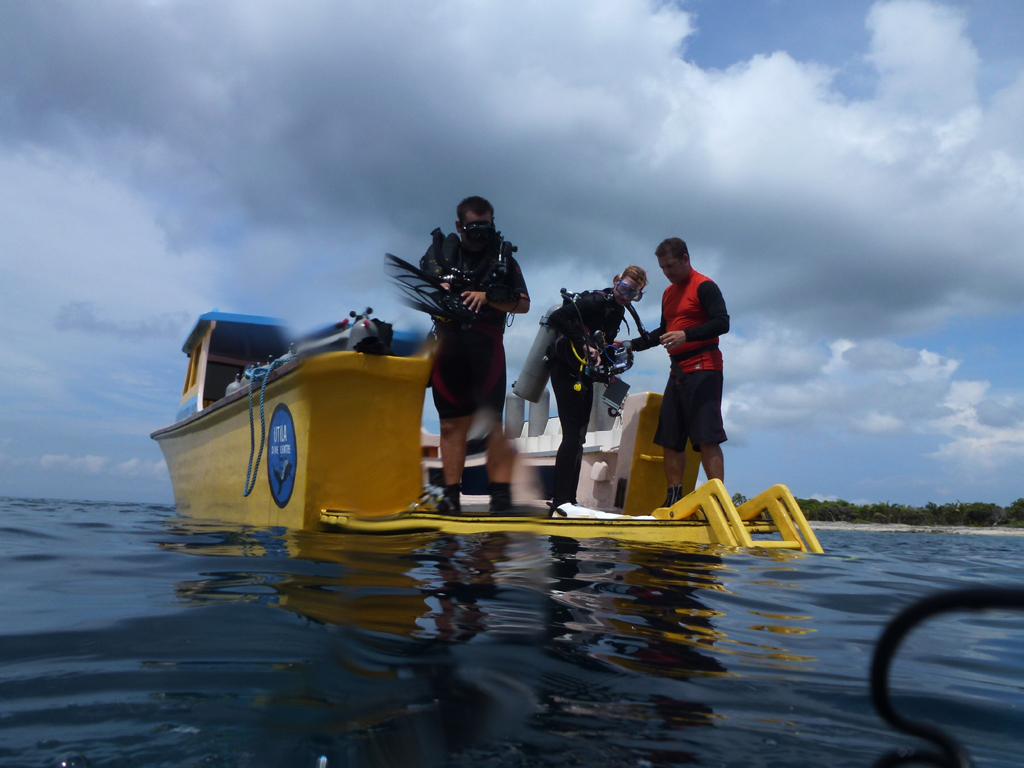 Ambon Image 16