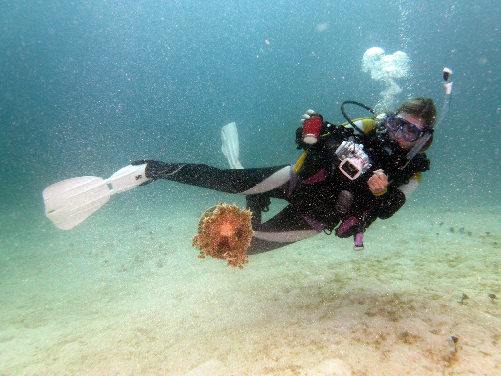 Ambon Image 18