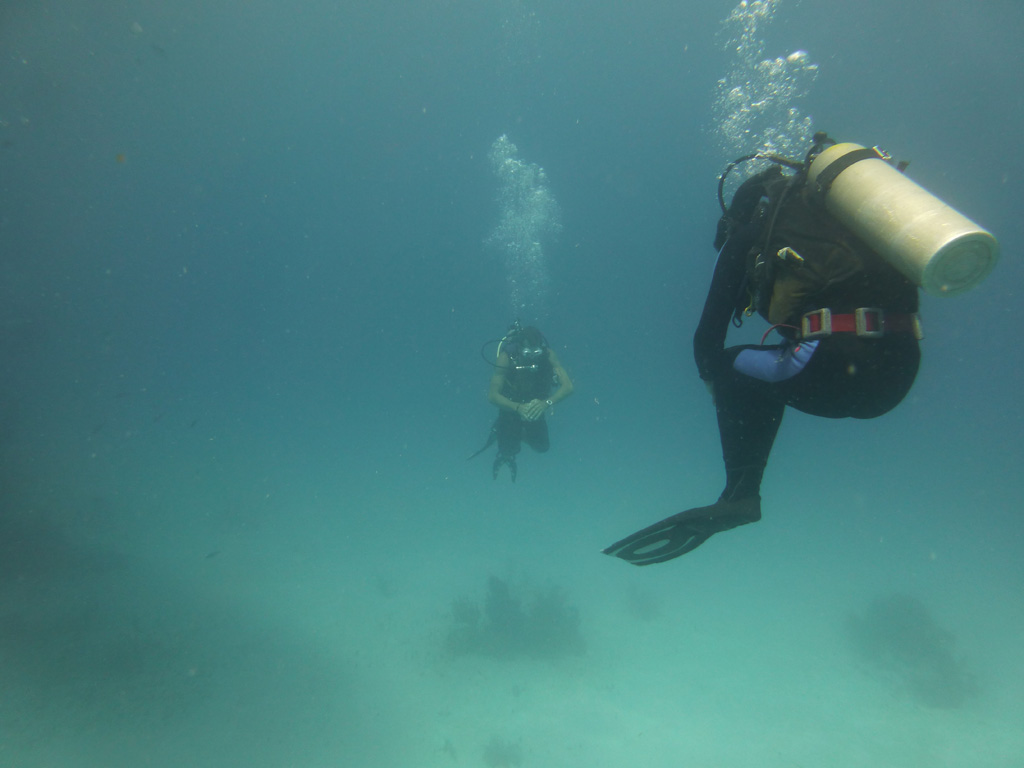 Ambon Image 33