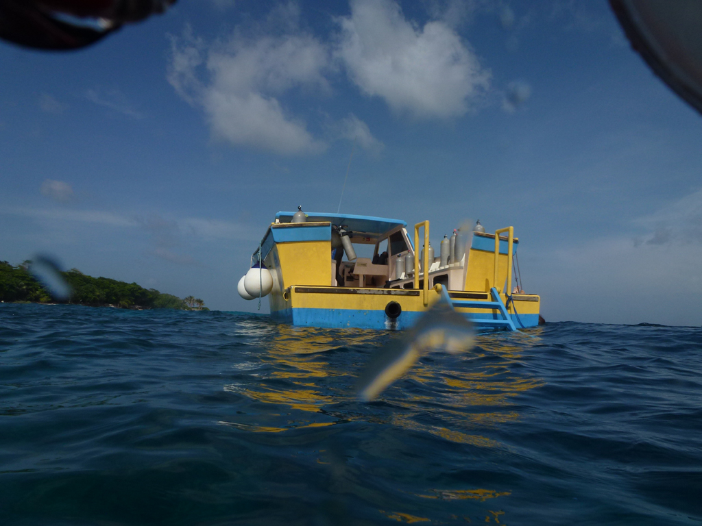 Ambon Image 35