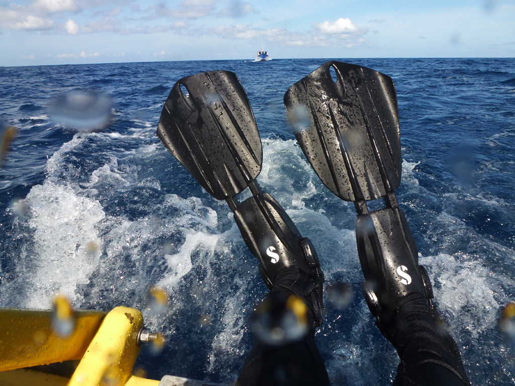 Ambon Image 37